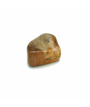 Versteinertes Holz - Trommelsteine, 50 Gramm, 20 - 45 mm